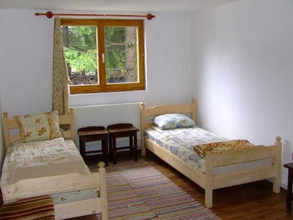 Pension Biro Harghita-Bai Room photo